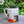 Load image into Gallery viewer, Great Modern Artists Mug, Andy Warhol
